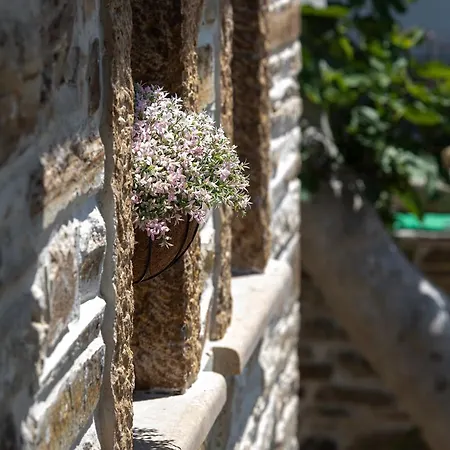 Villa Homstone Nikiti  Exterior foto